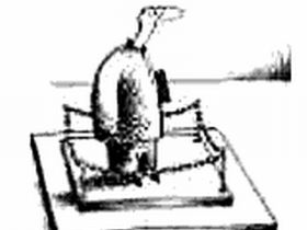 Импичмент, фото с сайта politican.com.ua Импичмент, фото с сайта politican.com.ua