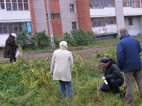 Трава у дома. Фото: Лиза Охайзина Трава у дома. Фото: Лиза Охайзина