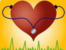 Сердце, фото с сайта esermission.ya.ru Сердце, фото с сайта esermission.ya.ru