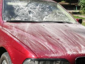 "Снег" в Омске. Фото с сайта kp.ru "Снег" в Омске. Фото с сайта kp.ru