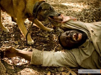 Фото из блога v-fedotov.livejournal.com Фото из блога v-fedotov.livejournal.com