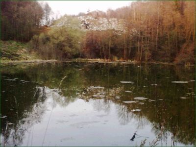 Так Барановский пруд выглядит сейчас. Фото из блога drandin.livejournal.com Так Барановский пруд выглядит сейчас. Фото из блога drandin.livejournal.com