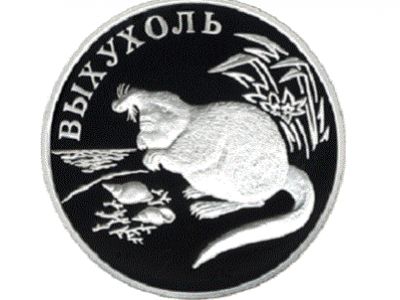 Выхухоль Выхухоль