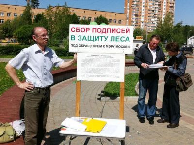 Сбор подписей за лес Фото: ecoreporter.ru Сбор подписей за лес Фото: ecoreporter.ru