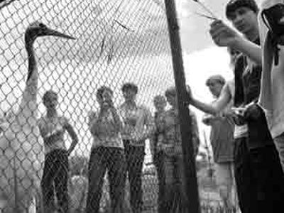 Муравьевский парк. Фото с сайта ampravda.ru Муравьевский парк. Фото с сайта ampravda.ru