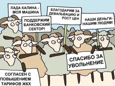 Бараны Бараны