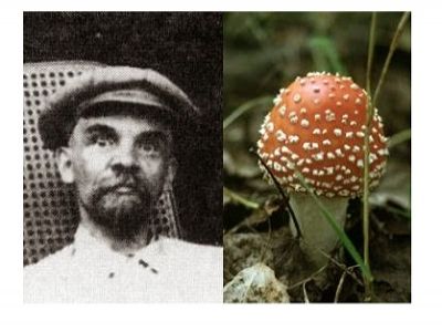 "Ленин - гриб". Публикуется в блоге автора "Ленин - гриб". Публикуется в блоге автора