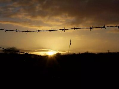 Колючая проволока. Источник - fotoflickr.ru Колючая проволока. Источник - fotoflickr.ru