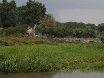 В столице Южного Судана Джубе потерпел крушение грузовой самолёт Ан-12. Фото: Twitter/@EyeRadioJuba В столице Южного Судана Джубе потерпел крушение грузовой самолёт Ан-12. Фото: Twitter/@EyeRadioJuba