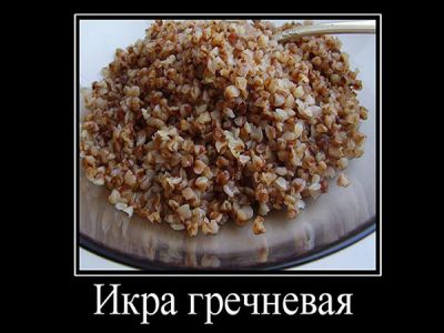 Гречка, Фото - lenta.ru Гречка, Фото - lenta.ru