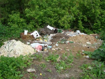 Мусор в деревне. Фото: Александр Воронин, Каспаров.Ru Мусор в деревне. Фото: Александр Воронин, Каспаров.Ru