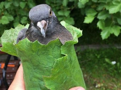 Источник фото: memeus.ru Источник фото: memeus.ru