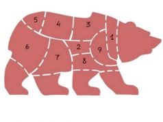 Распад России. Источник: afterempire.info Распад России. Источник: afterempire.info