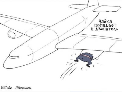 Авария А321 и чайка в двигателе. Рис. С.Елкина: svoboda.org Авария А321 и чайка в двигателе. Рис. С.Елкина: svoboda.org