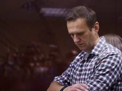 Алексей Навальный. Фото: Пресс-служба Бабушкинского суда/ТАСС Алексей Навальный. Фото: Пресс-служба Бабушкинского суда/ТАСС