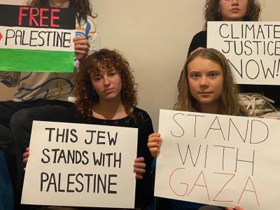 Грета Тунберг и поддержка Газы. Фото: X / @GretaThunberg Грета Тунберг и поддержка Газы. Фото: X / @GretaThunberg